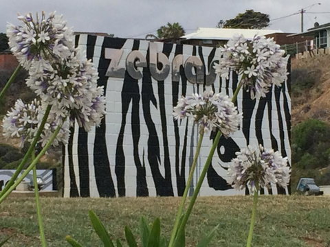 Zebras Guest House Geraldton - Tourism Guide 0