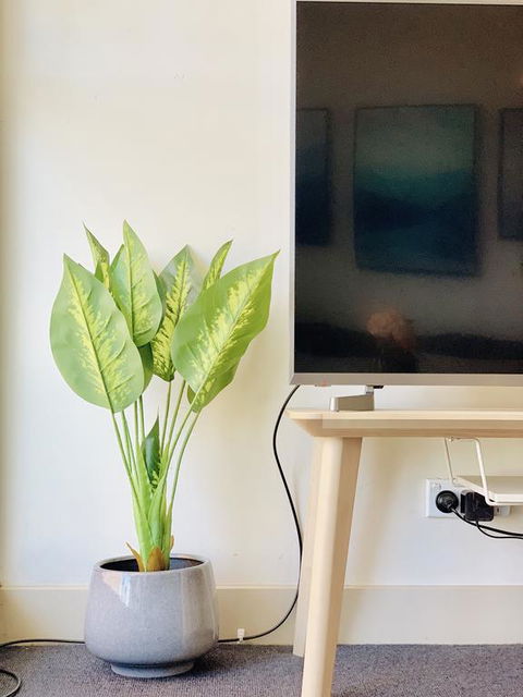 ZEN Homes On Collins - Tourism Guide 3