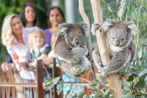 A 3BR Apt Next To Melbourne Zoo FREE Parking - Tourism Guide 2