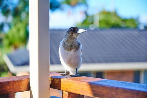 A Kids Dream & Paradise For Parents - Tourism Guide 2