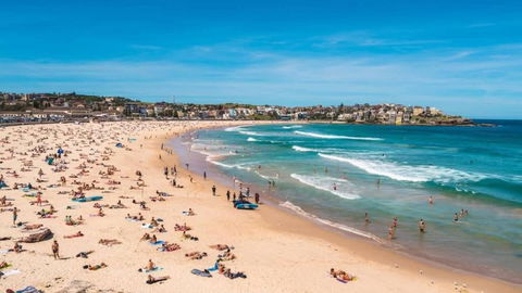 A Lovely Beach Studio 5min Walk To Bondi Beach - Tourism Guide 2