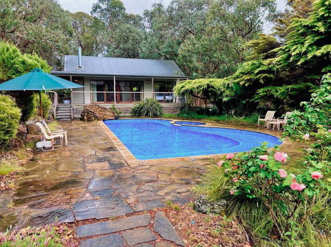 A Lovely Pool House In Forest - Tourism Guide 0