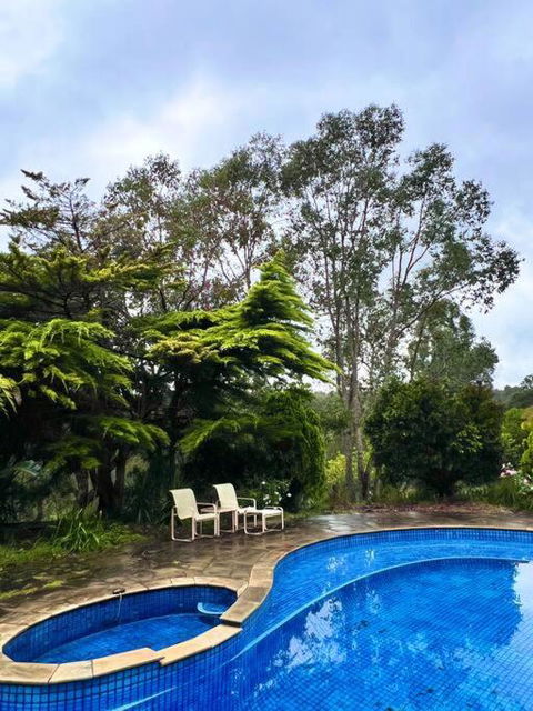 A Lovely Pool House In Forest - Tourism Guide 2