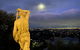 Adelaide And Adelaide Hills Self Contained Private Guest Suite - thumb 1