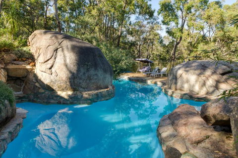 A Paradise For Dogs And A Magical Retreat For Hoomans - Tourism Guide 0
