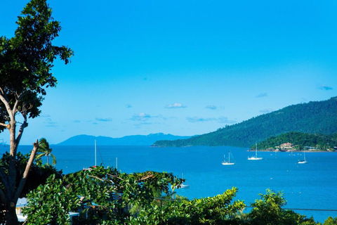 Airlie Bay View - Tourism Guide 2