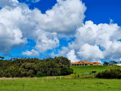 Albany Hidden Valley Bed And Breakfast - Tourism Guide 0