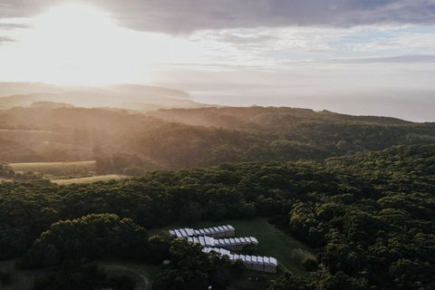 Alkina Lodge Yani - Tourism Guide 4