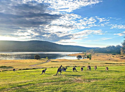 Anglers Reach Lakeside Village - Cruises Travel 0