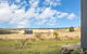 Altitude - A Tiny House Experience In A Goat Farm By Tiny Away - thumb 1