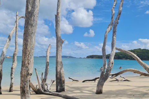 ARay At Cooee Bay - Apt B - Beach House Yeppoon - Tourism Guide 1