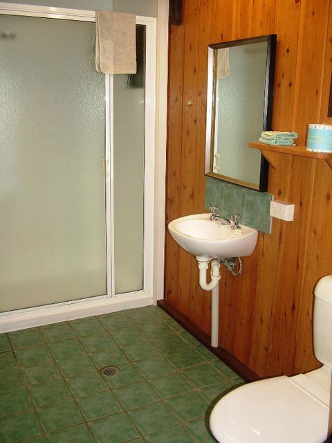 Atherton Blue Gum - Tourism Guide 4