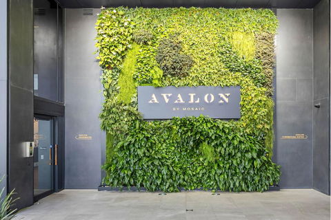 Avalon Resort Maroochydore - Tourism Guide 2