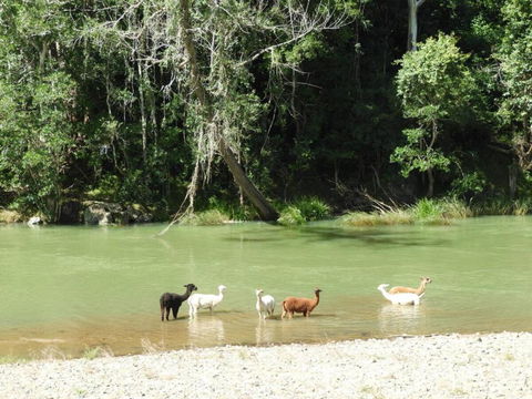 Avalon River Retreat - 400 Acre Riverside Oasis - Tourism Guide 4