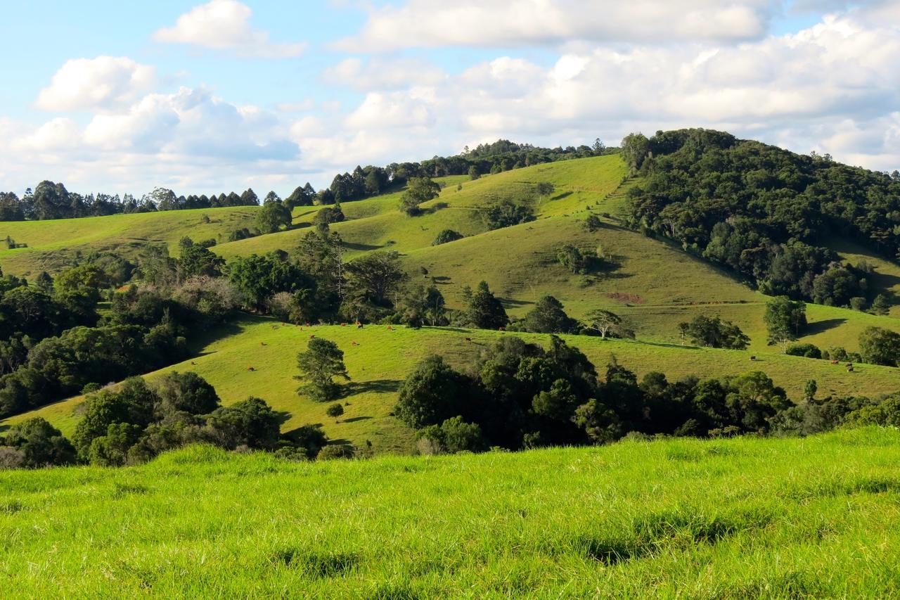 Reesville QLD Travel Search