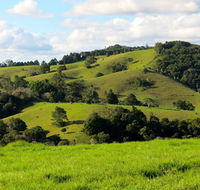 Maleny Springs Farm - Travel Search