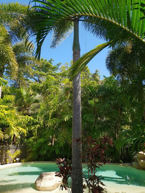 Cassawong Cottages - Travel Search 16