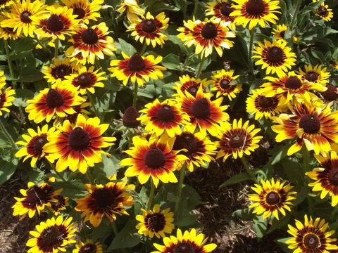 Eastgate On The Range Motel - Travel Agents 16