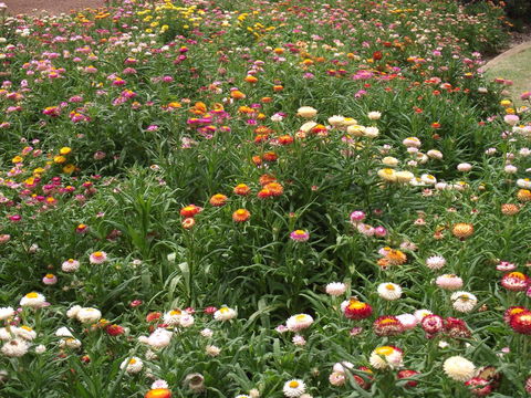 Eastgate On The Range Motel - Travel Agents 37