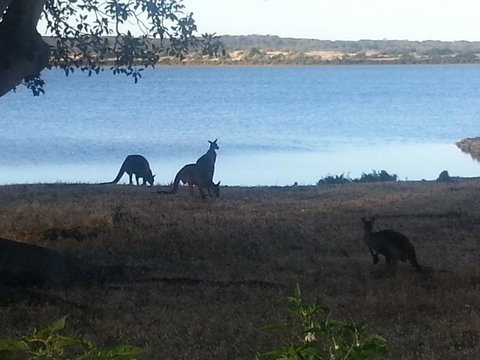 Ratcliff Cottage - Travel Search 2