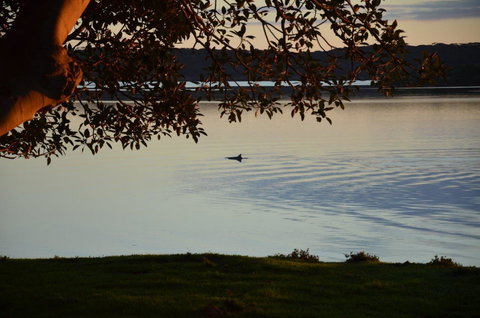 Ratcliff Cottage - Travel Search 11