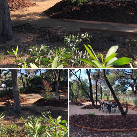 'Carinya' Coastal Cottage - Travel Agents 3