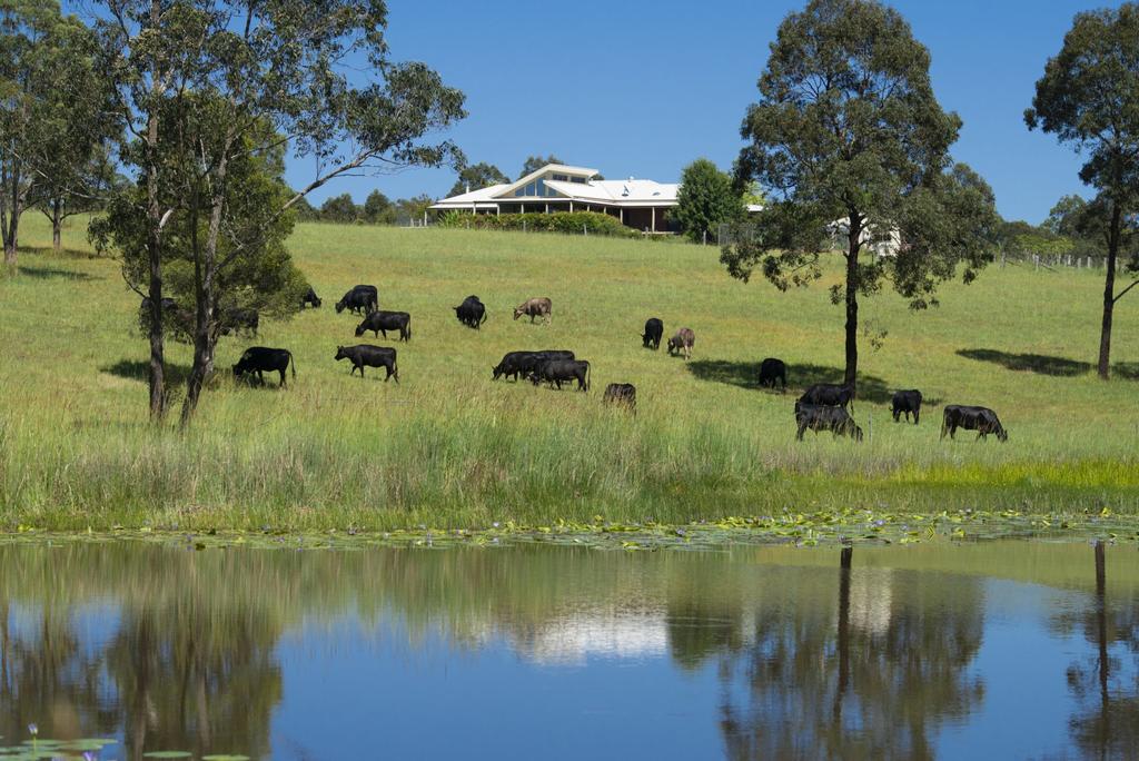 Wang Wauk NSW Travel Agents