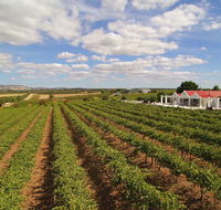 1837 Barossa Luxury Vineyard Cottages - Tourism Guide