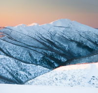 24 Hotham 1 Bed Apartment - Travel Search