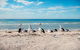 Bellarine Bayside Portarlington - thumb 0