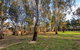 Deniliquin Riverside Caravan Park - thumb 3