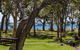 28 'Bay Parklands', 2 Gowrie Ave - Pool, Tennis + Stunning Views - thumb 0