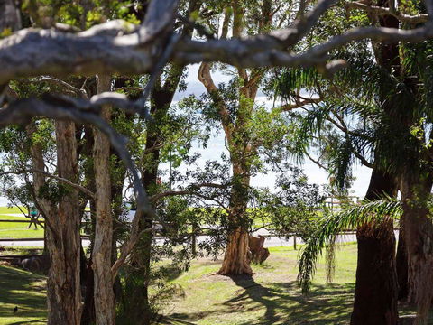 34 'Bay Parklands', 2 Gowrie Avenue - WIFI, Views, Pool, Spa & Tennis Court - Cruises Travel 0