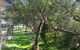 36 'Bay Parklands', 2 Gowrie Avenue - Close To The Water With Pool & Spa & Tennis Court - thumb 0