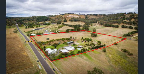 505 CONROD STRAIGHT MOUNT PANORAMA - Travel Search 0