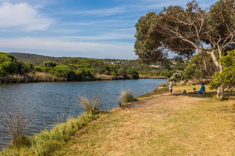A River Bed Cottage - Tourism Guide 3