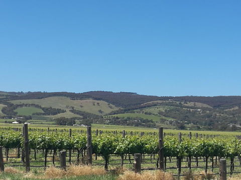 A Victor Harbour Retreat Aldinga Tony's Music Cottage - Tourism Guide 3