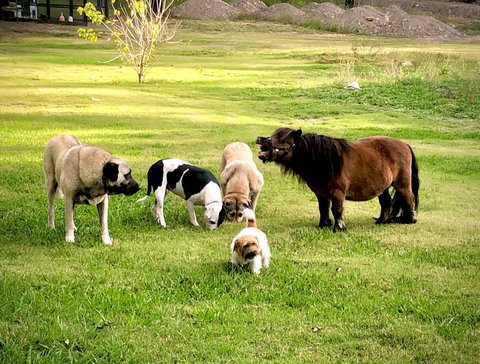 Absolute Riverfront Shipping Container Cabin - Travel Search 2