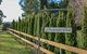 Duckmaloi Park Lodge - thumb 4