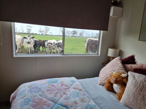 Farmstay@Morgans - Cruises Travel 3