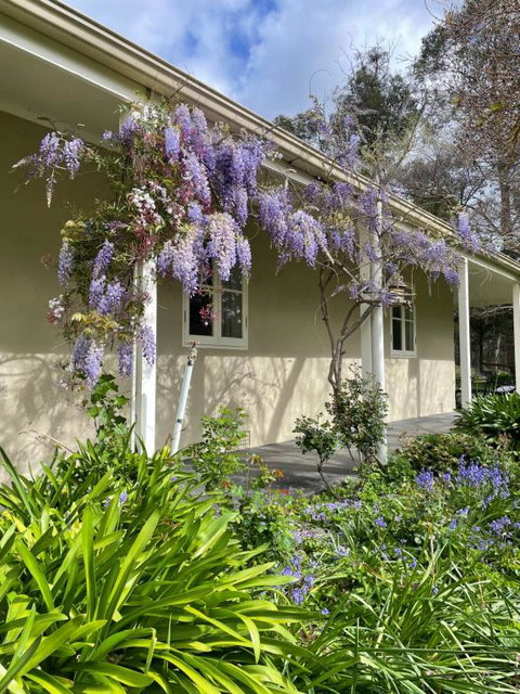 Fleetwood Cottage Bed And Breakfast - Tourism Guide 4
