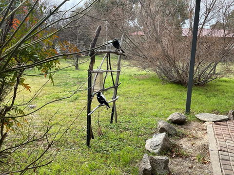 Florence Lodge - Tourism Guide 4