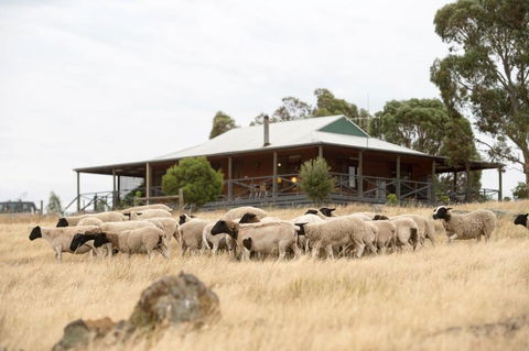 Gilgraves Vineyard Farmstay - Travel Search 0