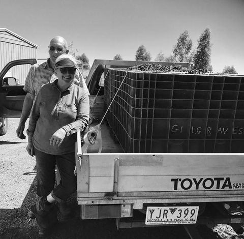 Gilgraves Vineyard Farmstay - Travel Search 4