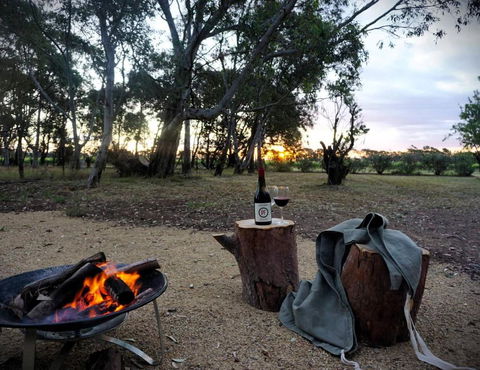 Grove At Peasant Farm By Tiny Away - Tourism Guide 1