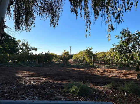 House By The Vines - Travel Search 0
