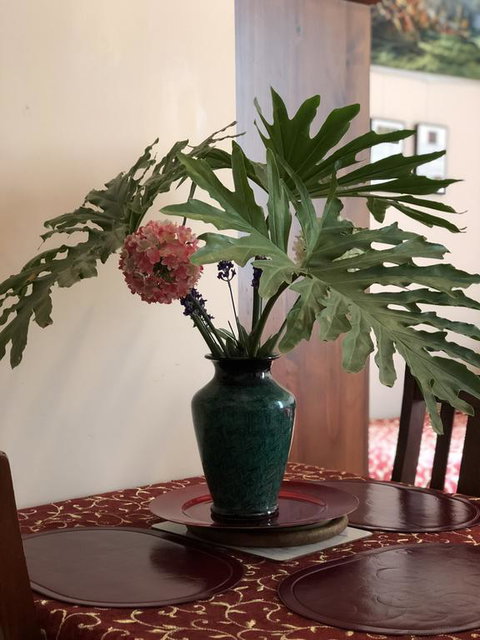 Albany Foreshore Guest House - Travel Agents 3