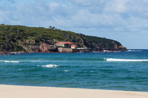 Albatross - Unit 6 - Tourism Guide 2