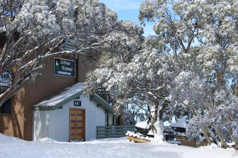 Alpine Retreat Mt Buller - Travel Search 0