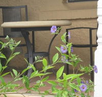Amalie Cottage Waikerie - Cruises Travel